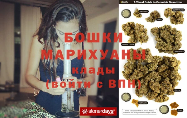 шишки Лиски