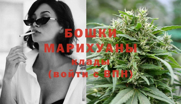 шишки Лиски