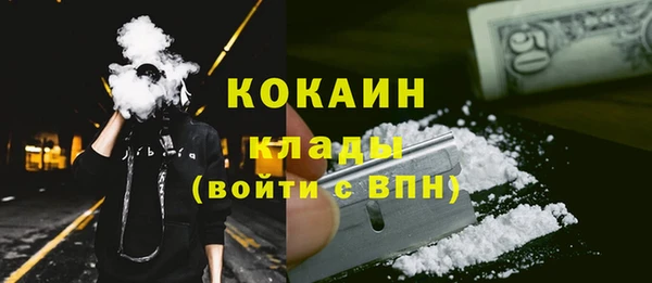 шишки Лиски