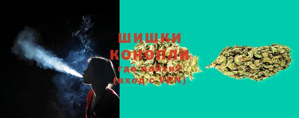 PSILOCYBIN Лихославль