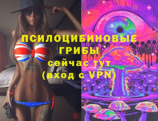 PSILOCYBIN Лихославль