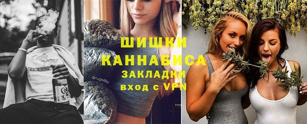 шишки Лиски