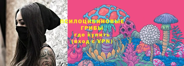 PSILOCYBIN Лихославль