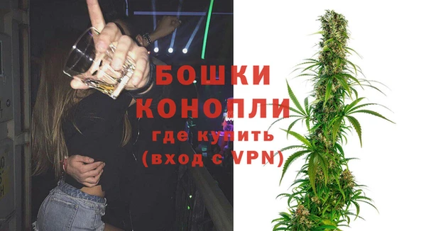 шишки Лиски
