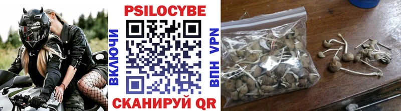 нарко площадка официальный сайт  Новокузнецк  Псилоцибиновые грибы ЛСД 