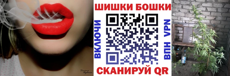 Бошки Шишки планчик  Новокузнецк 